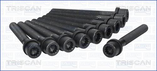Triscan 98-8500 Cylinder Head Bolts Kit 988500: Buy near me in Poland at 2407.PL - Good price!
