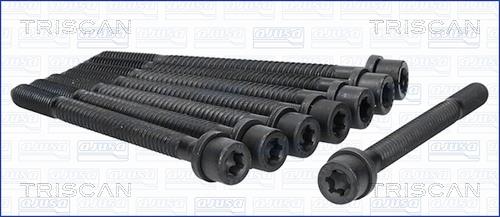 Triscan 98-8541 Cylinder Head Bolts Kit 988541: Buy near me in Poland at 2407.PL - Good price!
