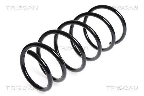 Triscan 8750 25105 Suspension spring front 875025105: Buy near me in Poland at 2407.PL - Good price!