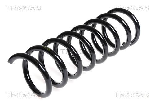 Triscan 8750 25107 Coil Spring 875025107: Buy near me in Poland at 2407.PL - Good price!