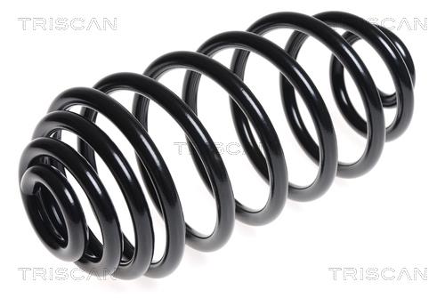 Triscan 8750 2591 Coil Spring 87502591: Buy near me at 2407.PL in Poland at an Affordable price!