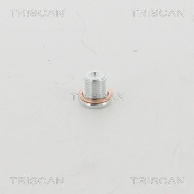 Triscan 95-0959 Sump plug 950959: Buy near me in Poland at 2407.PL - Good price!