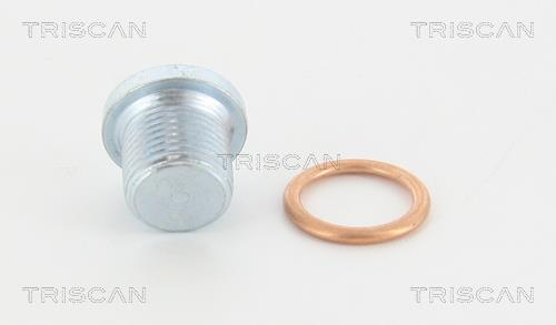 Triscan 95-0960 Sump plug 950960: Buy near me at 2407.PL in Poland at an Affordable price!