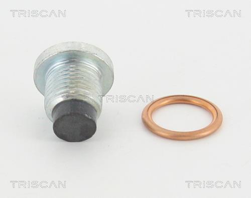Triscan 95-0965 Sump plug 950965: Buy near me at 2407.PL in Poland at an Affordable price!