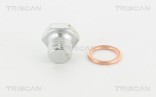 Triscan 95-0967 Sump plug 950967: Buy near me in Poland at 2407.PL - Good price!