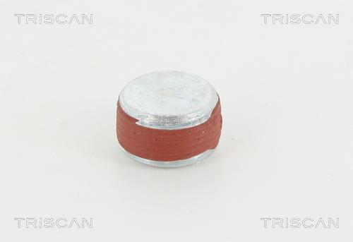 Triscan 95-0979 Sump plug 950979: Buy near me in Poland at 2407.PL - Good price!