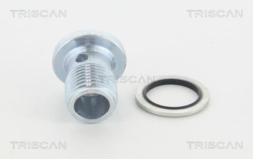 Triscan 95-0989 Sump plug 950989: Buy near me in Poland at 2407.PL - Good price!