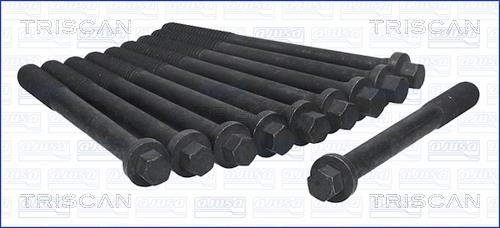 Triscan 98-1005 Cylinder Head Bolts Kit 981005: Buy near me in Poland at 2407.PL - Good price!
