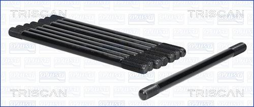 Triscan 98-1006 Cylinder Head Bolts Kit 981006: Buy near me at 2407.PL in Poland at an Affordable price!