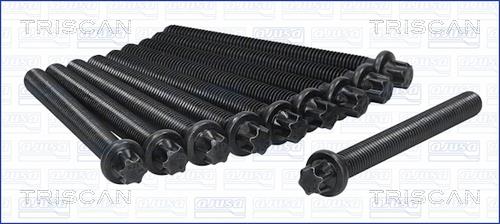 Triscan 98-1701 Cylinder Head Bolts Kit 981701: Buy near me in Poland at 2407.PL - Good price!