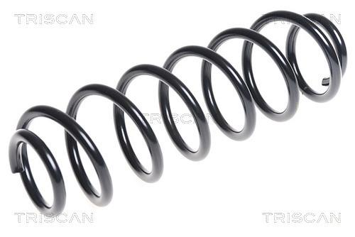 Triscan 8750 29301 Coil Spring 875029301: Buy near me in Poland at 2407.PL - Good price!