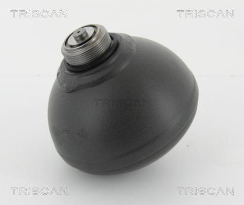 Triscan 8760 38227 Hydraulic accumulator 876038227: Buy near me in Poland at 2407.PL - Good price!