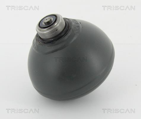 Triscan 8760 38228 Hydraulic accumulator 876038228: Buy near me in Poland at 2407.PL - Good price!