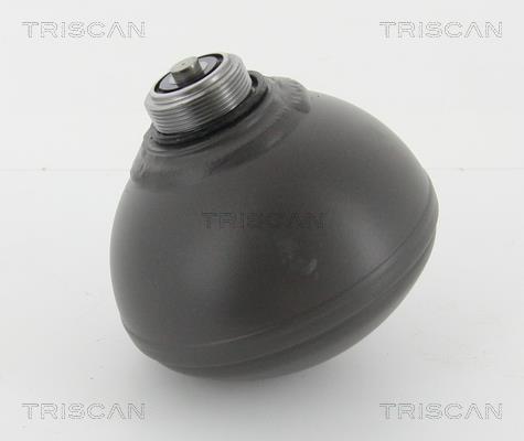 Triscan 8760 38229 Hydraulic accumulator 876038229: Buy near me in Poland at 2407.PL - Good price!