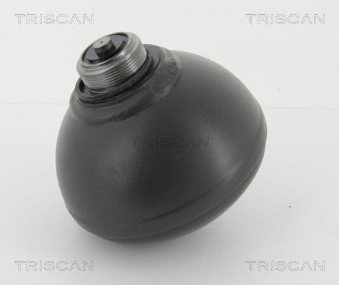 Triscan 8760 38232 Hydraulic accumulator 876038232: Buy near me in Poland at 2407.PL - Good price!