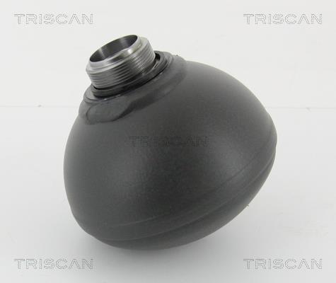Triscan 8760 38235 Hydraulic accumulator 876038235: Buy near me in Poland at 2407.PL - Good price!