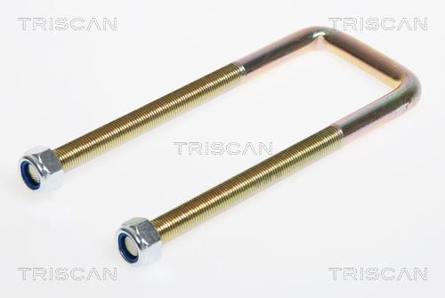 Triscan 8765 100001 U-bolt for Springs 8765100001: Buy near me in Poland at 2407.PL - Good price!