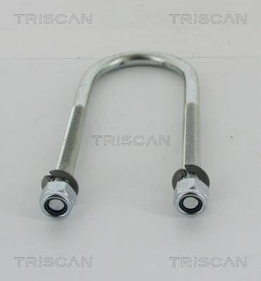 Triscan 8765 100006 U-bolt for Springs 8765100006: Buy near me in Poland at 2407.PL - Good price!