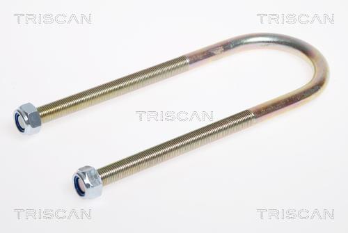 Triscan 8765 100009 U-bolt for Springs 8765100009: Buy near me in Poland at 2407.PL - Good price!