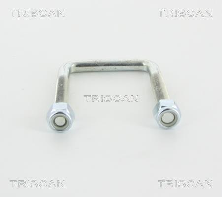 Triscan 8765 280001 U-bolt for Springs 8765280001: Buy near me in Poland at 2407.PL - Good price!
