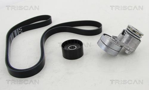 Triscan 8642 10017 Drive belt kit 864210017: Buy near me in Poland at 2407.PL - Good price!