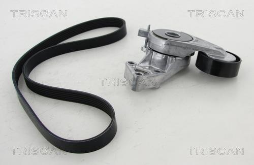 Triscan 8642 29017 Drive belt kit 864229017: Buy near me in Poland at 2407.PL - Good price!