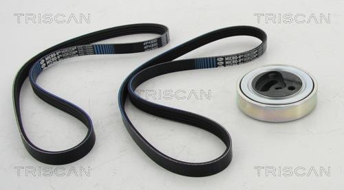 Triscan 8642 69001 Drive belt kit 864269001: Buy near me in Poland at 2407.PL - Good price!