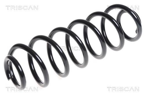Triscan 8750 29313 Coil Spring 875029313: Buy near me in Poland at 2407.PL - Good price!