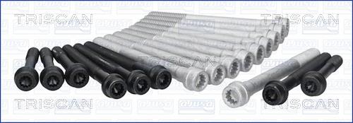 Triscan 98-1901 Cylinder Head Bolts Kit 981901: Buy near me at 2407.PL in Poland at an Affordable price!