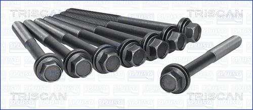 Triscan 98-1903 Cylinder Head Bolts Kit 981903: Buy near me in Poland at 2407.PL - Good price!