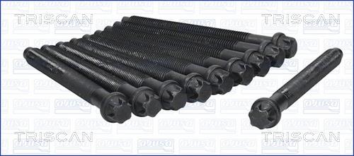 Triscan 98-6001 Cylinder Head Bolts Kit 986001: Buy near me in Poland at 2407.PL - Good price!