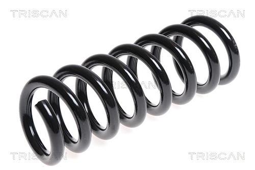 Triscan 8750 23130 Coil Spring 875023130: Buy near me in Poland at 2407.PL - Good price!