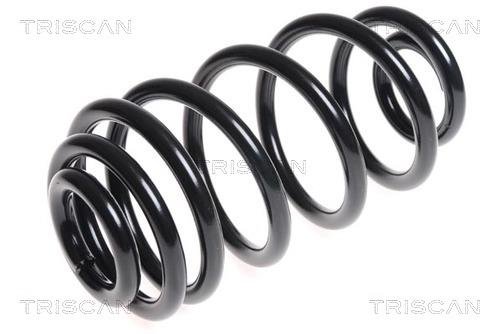 Triscan 8750 24163 Coil Spring 875024163: Buy near me in Poland at 2407.PL - Good price!
