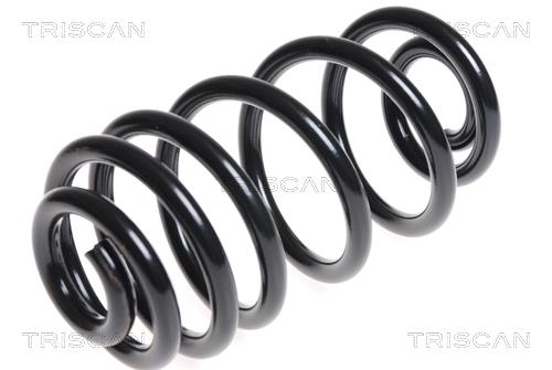 Triscan 8750 24165 Coil Spring 875024165: Buy near me in Poland at 2407.PL - Good price!