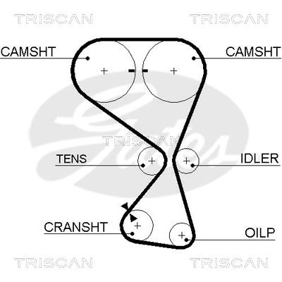Triscan 8645 5534XS Timing belt 86455534XS: Buy near me at 2407.PL in Poland at an Affordable price!