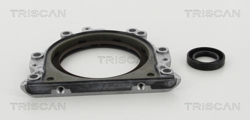 Triscan 8550 29009 Gearbox oil seal 855029009: Buy near me in Poland at 2407.PL - Good price!