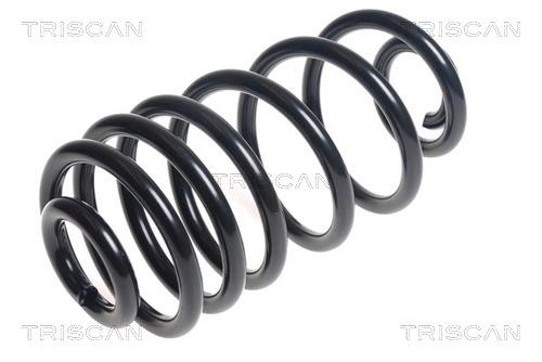 Triscan 8750 24179 Coil Spring 875024179: Buy near me in Poland at 2407.PL - Good price!