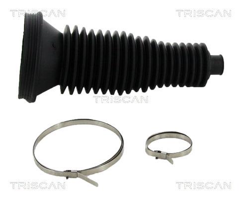 Triscan 8500 29073 Bellow kit, steering 850029073: Buy near me in Poland at 2407.PL - Good price!