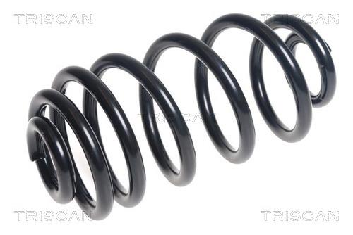 Triscan 8750 2141 Coil Spring 87502141: Buy near me at 2407.PL in Poland at an Affordable price!