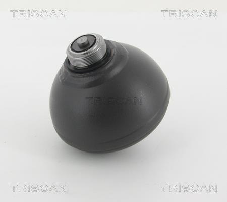 Triscan 8760 38239 Hydraulic accumulator 876038239: Buy near me in Poland at 2407.PL - Good price!