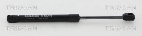 Triscan 8710 20105 Gas Spring, boot-/cargo area 871020105: Buy near me in Poland at 2407.PL - Good price!