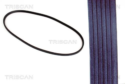 Triscan 8640 601125 V-Ribbed Belt 8640601125: Buy near me in Poland at 2407.PL - Good price!