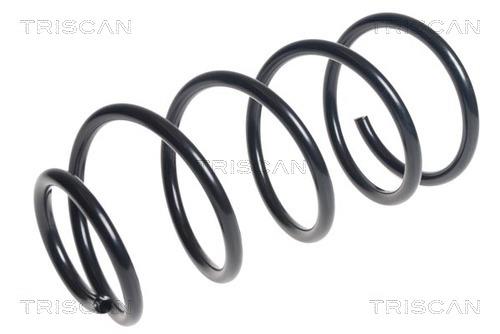 Triscan 8750 16113 Suspension spring front 875016113: Buy near me in Poland at 2407.PL - Good price!