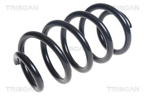 Triscan 8750 25112 Coil Spring 875025112: Buy near me in Poland at 2407.PL - Good price!