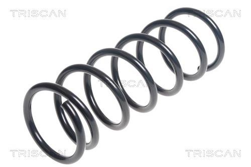 Triscan 8750 14113 Suspension spring front 875014113: Buy near me in Poland at 2407.PL - Good price!