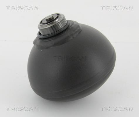 Triscan 8760 38240 Hydraulic accumulator 876038240: Buy near me in Poland at 2407.PL - Good price!