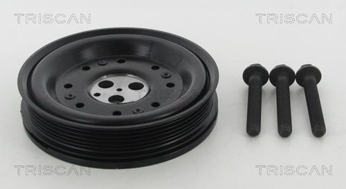 Triscan 8643 16005A Pulley crankshaft 864316005A: Buy near me in Poland at 2407.PL - Good price!