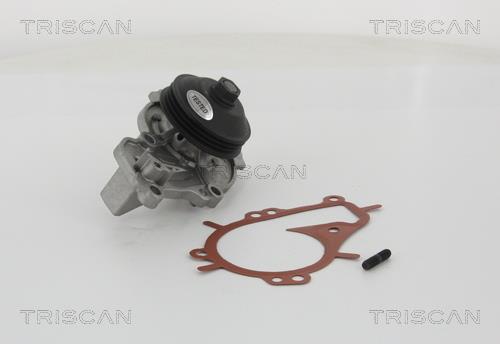 Triscan 8600 10081 Water pump 860010081: Buy near me in Poland at 2407.PL - Good price!