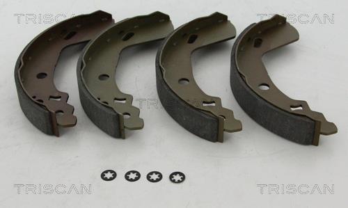 Triscan 8100 69009 Brake shoe set 810069009: Buy near me in Poland at 2407.PL - Good price!