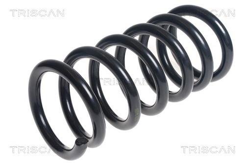 Triscan 8750 42100 Coil Spring 875042100: Buy near me in Poland at 2407.PL - Good price!